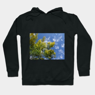 Sky - 23 Hoodie